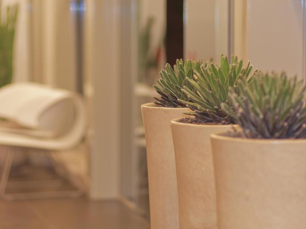 Hotel Cluentum Tolentino Dış mekan fotoğraf